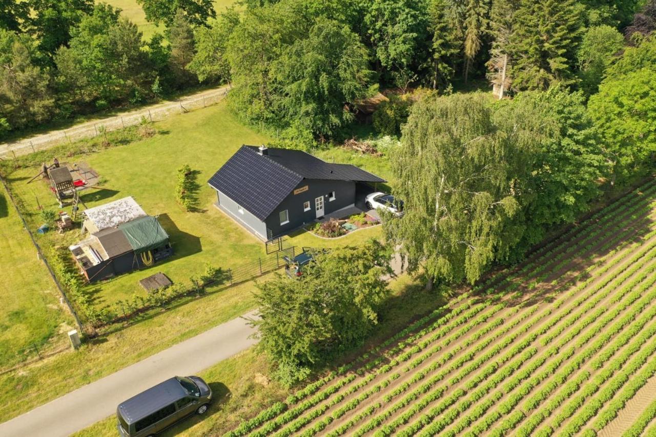 Ferienhaus “ Lille Hyggehytte“ Altenmedingen Extérieur photo